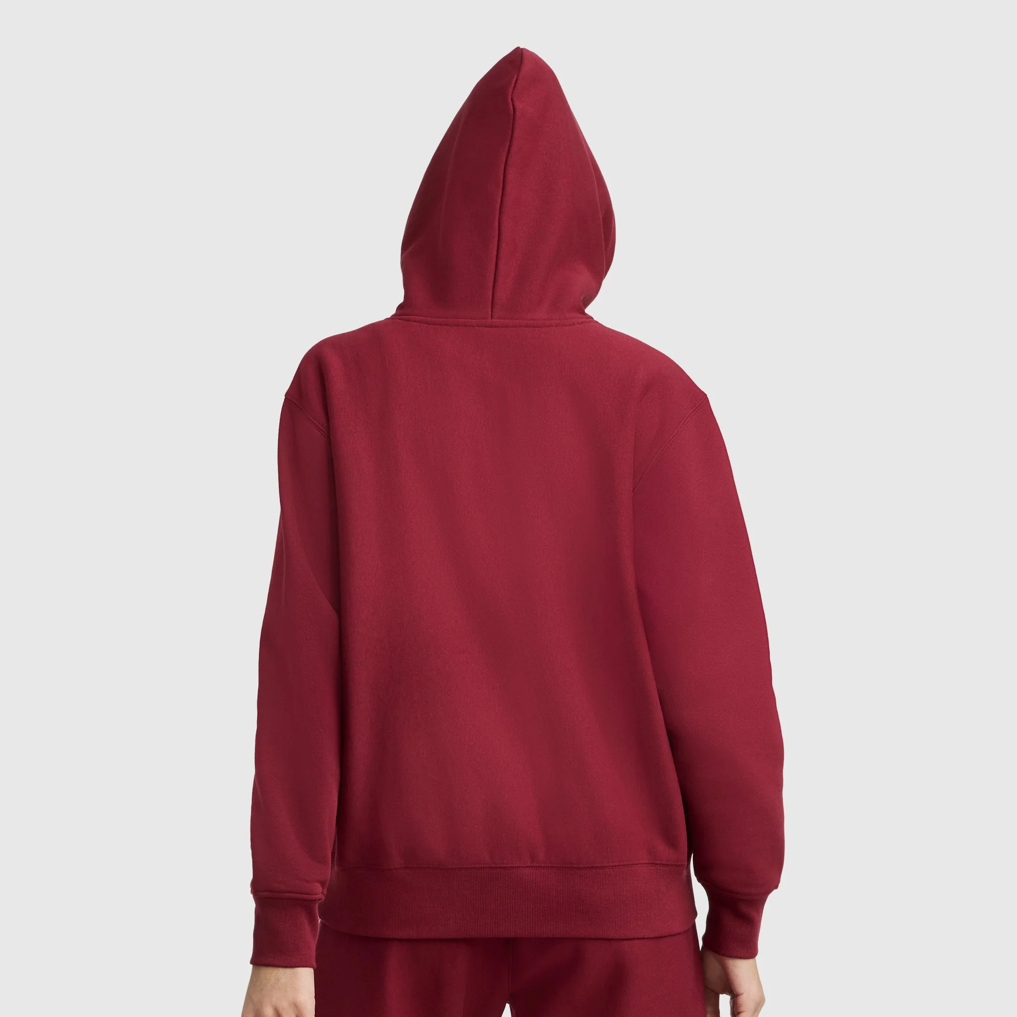 Reverse Weave Hoodie Sweatshirt