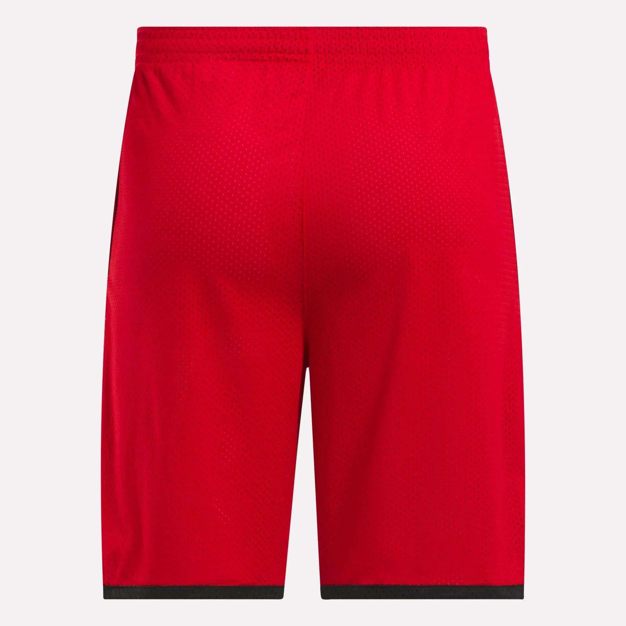 Men's Basketball Mesh Shorts
